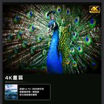 HERAN 禾聯 55吋 4K聯網 液晶電視 無視訊盒 含基本安裝 HD-55MF1, , large