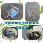 金德恩 GS MALL 台灣製造 插地透明標示牌 插土立牌 園藝 植物標籤 指示牌 標示插牌 展示牌, , large