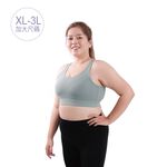 【AREXSPORT】AS-7433 加大碼內衣/ XL-3L/涼感機能美背吸排透氣網眼中高強度可調節BRA運動內衣, , large