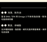 [逆風飛翔]喵皇奴 虻貓機能主食罐 雞肉海瓜子與黑水虻口味24入, , large