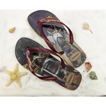 [巴拉娜巴西人字拖專賣店]中壢實體店面Havaianas哈瓦仕 哈瓦士 夾腳拖/人字拖 2024新款 TOP LOL 電玩 沙灘海灘 海邊 男款, , large