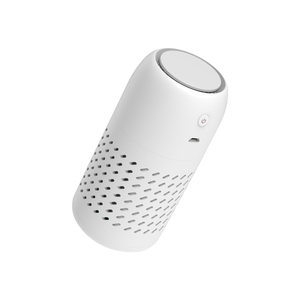 Portable Car Air Purifier