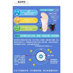 【BVD】防黴消臭細針寬口男襪<中灰>B543 男襪 短襪 休閒襪 無痕 香港腳, , large