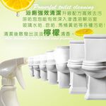 GS MALL 台灣製造 500ml 萬用雙效清潔浴廁去漬霸 去漬霸 清潔劑 浴室清潔 家用清潔劑 除垢 去漬 去汙垢, , large