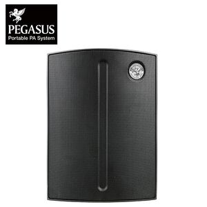 Pegasus M1 多功能便攜式監聽音箱【敦煌樂器】