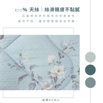 【帕瑪PAMA】100%萊賽爾纖維【TENCEL天絲】荳仔絨暖被/單人5X6.5/A-04, , large