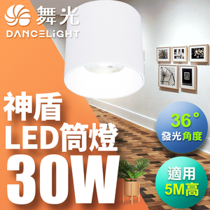 DanceLight dance light 30W Aegis downlight, beam angle 36 degrees, die-cast aluminum, fast heat dissipation, full voltage, one-piece molding, fashionable white (white light)