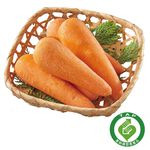 CFPLB carrot, , large