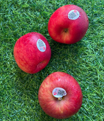 Honey Fuji Apple, , large