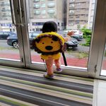 【生活好室】抗菌造型背包 獅子 獅子王背包 後背包 造型背包 女背包 背包 可愛背包 女生背包 交換禮物 生日禮物 禮物, , large