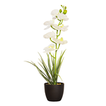 ARTIFICIAL ORCHID PLANT W/BLACK POT-WHITE, , large