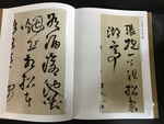 《南門書局》草書經典賞析１巨冊, , large