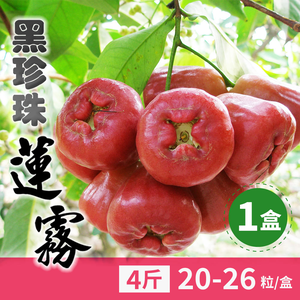 【HBS】Pingtung Black Pearl Wax Apple 4 catties (20-26 pieces/box)
