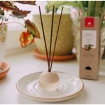 [西班牙CRISTALINAS]無酒精迷你球形植萃香氛擴香(20ML)- 無花果木, , large