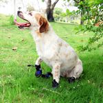 【寵愛生活本舖】寵物中筒拉鍊式縮口休閒犬鞋 不掉 狗鞋 大狗鞋 小狗鞋 寵物鞋, , large