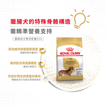 Royal Canin, , large