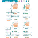 [超尚選] Eco Believer鉑金食品級矽膠保鮮盒 台灣食藥署合格 保鮮盒 折疊保鮮盒 折疊便當盒 微波保鮮盒 矽膠便, , large