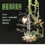 金德恩 GS MALL 台灣製造 耳環飾品收納架 糖果收納 飾品架 飾品收納 吊掛架 收納架 糖果架 耳環收納架 聖誕樹, , large