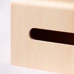 【this-this】日本yamato japan｜living rack 多功能收納面紙盒, , large