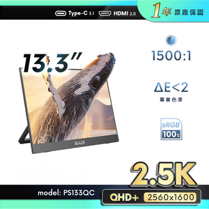 External monitor13.3