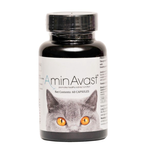 AminAvast 胺腎 貓或小型犬 腎臟保健 60顆, , large