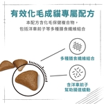 Royal Canin IH34 for Adult Cats with Thick Coats, , large