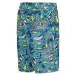 出清 NIKE SHARK 男小童六吋海灘褲 運動短褲 衝浪褲 沙灘褲 兒童短褲 NESSB884【樂買網】, 315 輝光綠,5, large