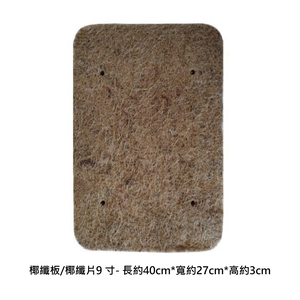 【向花緣】椰纖板/椰纖片9寸- 長約40cm*寬約27cm*高約3cm