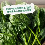 菠菜段, , large
