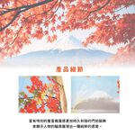 日本製【コスモ】長門簾《富士山秋葉帷幕》, , large