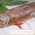 【一夫水產】海釣透抽－特大, , large