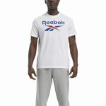 Reebok Identity Big Logo Tee 男 短袖 上衣 T恤 白 [100037049], , large
