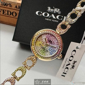 [星晴錶業]COACH手錶,24mm,CH00186彩虹滿天星錶面金色錶殼彩虹精鋼錶帶款