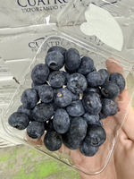 Blueberry, , large