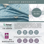 Indian新科技天絲吸濕排汗雙人四件式床包兩用被組-開心夥伴, , large
