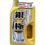 Extreme Gloss Shampoo Silver, , large