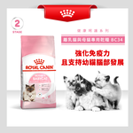 Royal Canin Weaning Kittens & Nursing Mothers BC34, , large