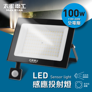 Max Star 100WLED induction spotlight/full voltage