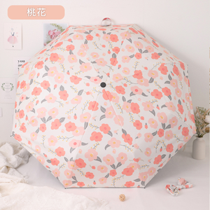 umbrella