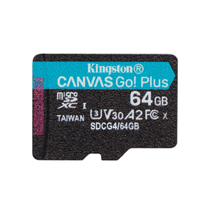 Kingston microSD Card