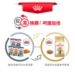 【Royal Canin法國皇家】英國短毛成貓BS34, , large