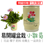 【心安購物】iPlant易開罐盆栽-小雛菊, , large
