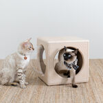 【paipaipets】 Wooden Cube - Style S, , large