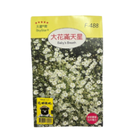 【向花緣】天星牌 大花滿天星 - 花卉種子, , large