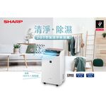 SHARP 夏普 12L 自動除菌離子 2合1 空氣清淨除濕機 DW-P12FT-W, , large