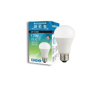 Everlight 13W  LED Lamp