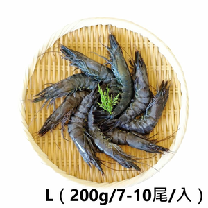 【一夫水產】產銷履歷/藍寶石草蝦－L