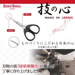 【千康購物網】ROSY ROSA 日本歧阜關市眉剪, , large