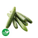 有機小黃瓜300g, , large