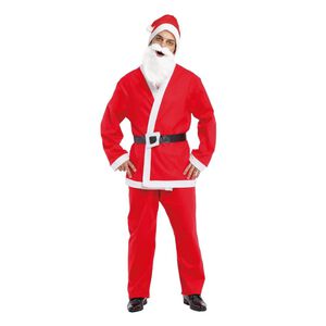 Adult Xmas Costume
